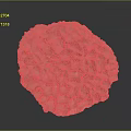 Coral Polyps White Calcareous Skeleton With Honeycomb Structure Marine Organism