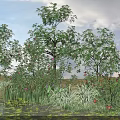 Flowering Trees By Water With Green Grass And Plants Under Cloudy Sky