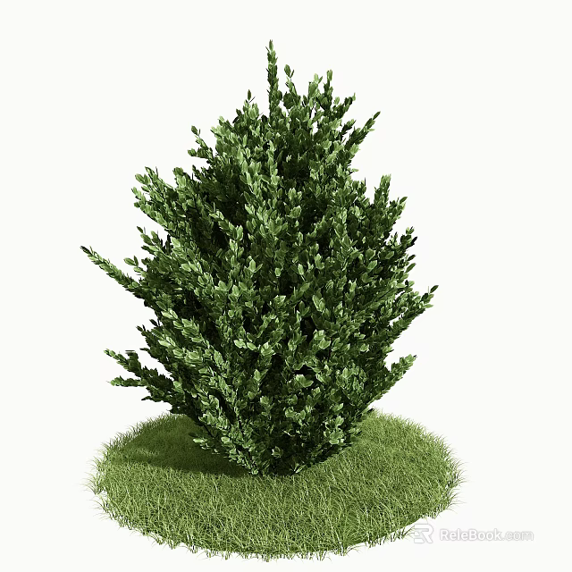 Green Bush With Dense Foliage Growing On Lush Grass Surface 3d model