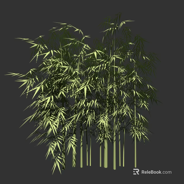 Lush Bamboo Plant With Green Leaves And Tall Natural Stems 3d model 