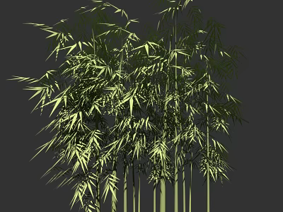 Lush Bamboo Plant With Green Leaves And Tall Natural Stems 3d model