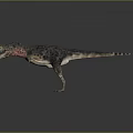 Realistic Tyrannosaurus Rex 3D Character With Sharp Teeth Standing On Gray Background
