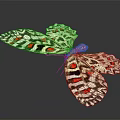 Colorful Butterfly With Red Black And White Spotted Wings And Detailed Patterns