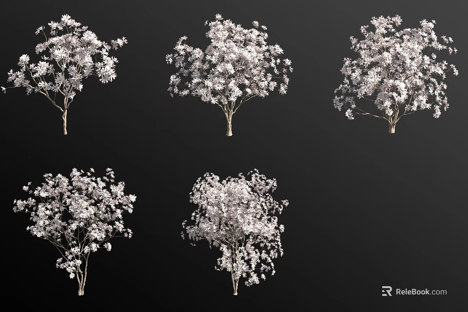 Flowering Shrubs With White Blooms In Various Views For Garden Landscaping 3d model 