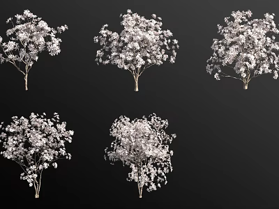 Flowering Shrubs With White Blooms In Various Views For Garden Landscaping 3d model