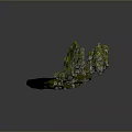 Natural Wood And Stone Decorative Rocks With Moss Covered Surfaces On Green Grass Base