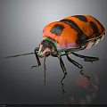 Red and Black Beetle Showcasing Vibrant Green and Pink Iridescent Colors on Dark Background