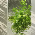 Lush Green Indoor Potted Plants In Gray Pots With Sunlight And Modern Interior