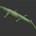 Realistic Prehistoric Marine Reptile Model With Green Patterned Skin Elongated Body And Fins