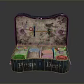 Vintage Hospital Department Medical Case With Glass Bottles And Containers
