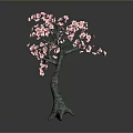 Ornamental Tree With Curved Trunk And Blooming Pink Flowers Against Dark Background