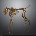 Golden Animal Skeleton in Standing Pose Against Dark Background With Reflective Surface