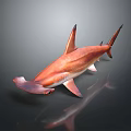 Orange Hammerhead Shark With Distinctive Hammer Shaped Head Vibrant Coloration And Sleek Body Design