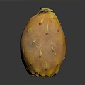Orange Yellow Prickly Pear Fruit With Small Spines On Dark Background Surface