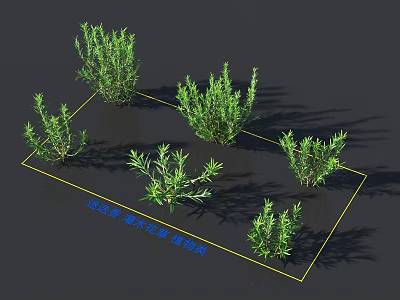 Bush 3D Models Series With Detailed Design And Various Fine Types 3d model