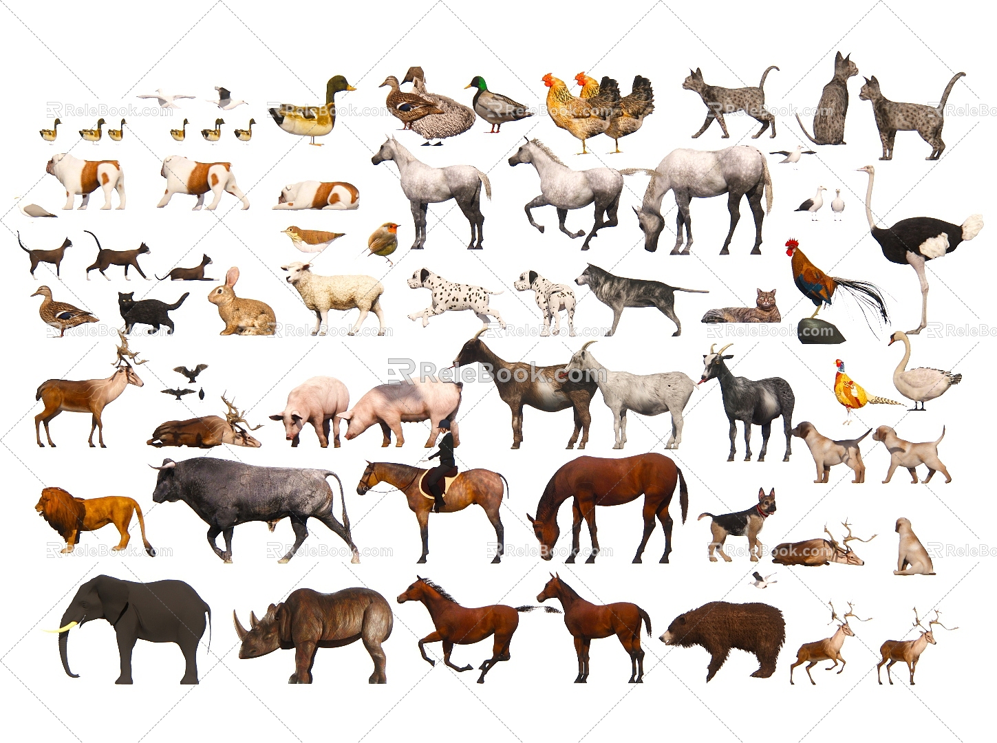 Modern Animals Poultry Animals Duck Antelope Bird Elephant Big Bear Rhino Lion Pig 3d model