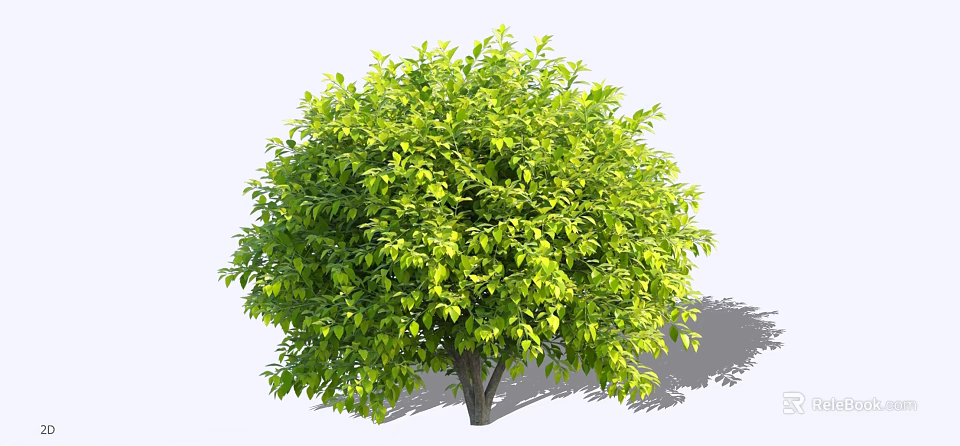 Lush Green Shrub with Dense Foliage and Rounded Natural Shape 3d model