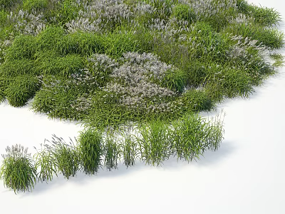 Vibrant Green Grass And Purple Flowers In Lush Natural Garden 3d model