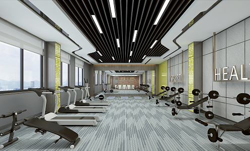 Modern Gym Fashion Gym 3d model