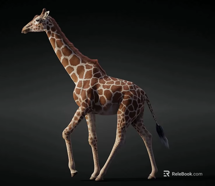 Long Necked Reptile With Brown Spots Walking On Dark Background 3d model