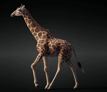 Modern Giraffe 3d model