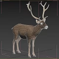 Majestic Deer With Large Antlers Standing In Green Meadow Grassland