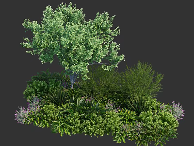 Lush Diverse Shrubs With Green Foliage And Mixed Plants In Garden Landscape 3d model