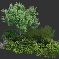 Lush Diverse Shrubs With Green Foliage And Mixed Plants In Garden Landscape