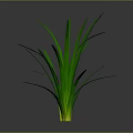 Green Grass With Slender Leaves Upright Growing On Gray Background With Reflection