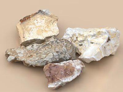 Natural Stones And Wood Pieces With Varied Textures And Organic Shapes 3d model