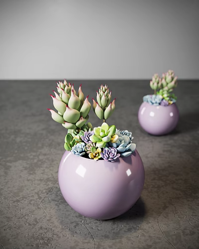 Purple Round Vases With Assorted Succulents Green Pink Purple Succulent Plants On Grey Tabletop 3d model