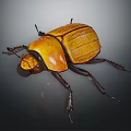 Yellow and Brown Beetle with Shiny Hard Shell and Black Legs on Dark Background