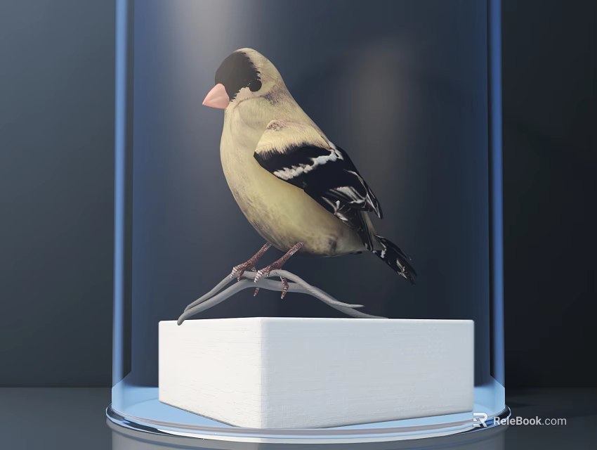 Decorative Ornament Set With Glass Dome Bird Figurine On White Base 3d model 