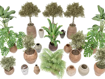 Various Ornamental Bonsai Potted Plants with Ceramic Pots and Lush Green Foliage 3d model