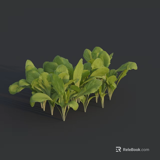 Fresh Green Leafy Vegetables With Vibrant Healthy Nutritious Tender Leaves 3d model 