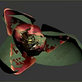 Red and Yellow Tulip Plant with Green Leaves and Root Base on Gray Background