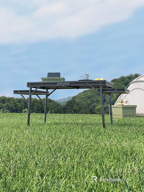 Outdoor Camping Table With Metal Legs For Grassland Use Featuring Laptop Cup And Yellow Fruits 3d model 