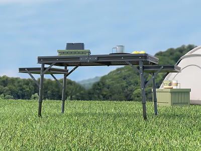 Outdoor Camping Table With Metal Legs For Grassland Use Featuring Laptop Cup And Yellow Fruits 3d model