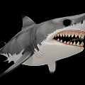 Realistic Shark Figure With Open Mouth Sharp Teeth Gray And White Body