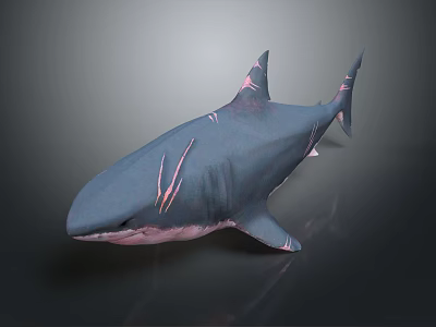 Dark Blue Shark With Pink Stripes 3D Model On Gray Background 3d model