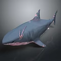 Dark Blue Shark With Pink Stripes 3D Model On Gray Background