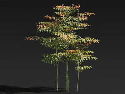 Vibrant Arbor With Green And Orange Leaves And Multiple Trunks Isolated On Dark Background 3d model