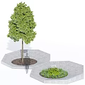 Lush Green Arbor Planted in Hexagonal Stone Planters with Soil and Small Plants