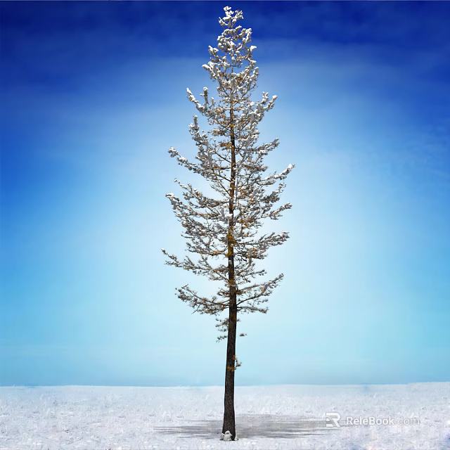 Snow Covered Tree Standing Against Clear Blue Sky Over Snowy Ground 3d model 