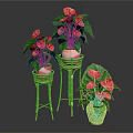 Anthurium Plants With Pink Blooms And Green Leaves In Wicker Pots On Bamboo Stands