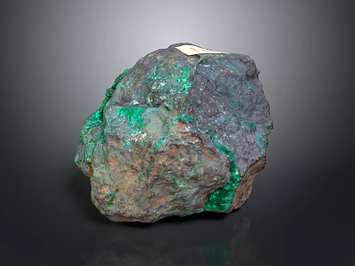 Natural Wood Stone Raw Specimen Displaying Green Veins And Dark Surface Texture 3d model