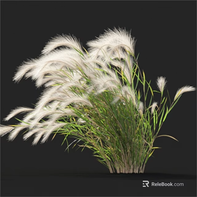 White Feathery Grass with Green Stems and Leaves for Natural Home Decoration 3d model 