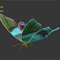 Vibrant Butterfly With Green And Blue Iridescent Wings And Reflection On Dark Background