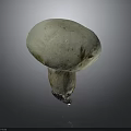 Fresh White Mushroom with Smooth Round Cap and Firm Stalk on Dark Surface