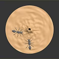Two Blue Ants on a light brown circle with a small bump in the center